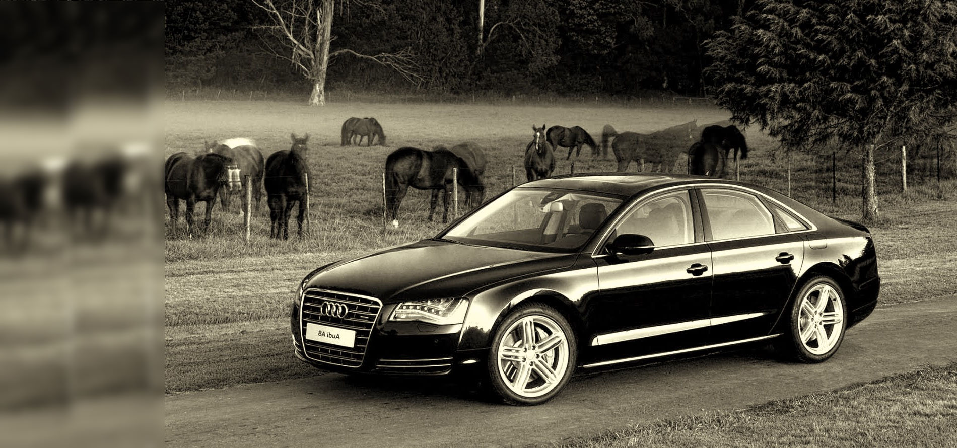 Ridgeway Airport Cars Taxi Service & Airport Transfer for Ridgeway